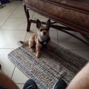 Meet your Posher, Daniel